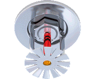 Fire Sprinkler System